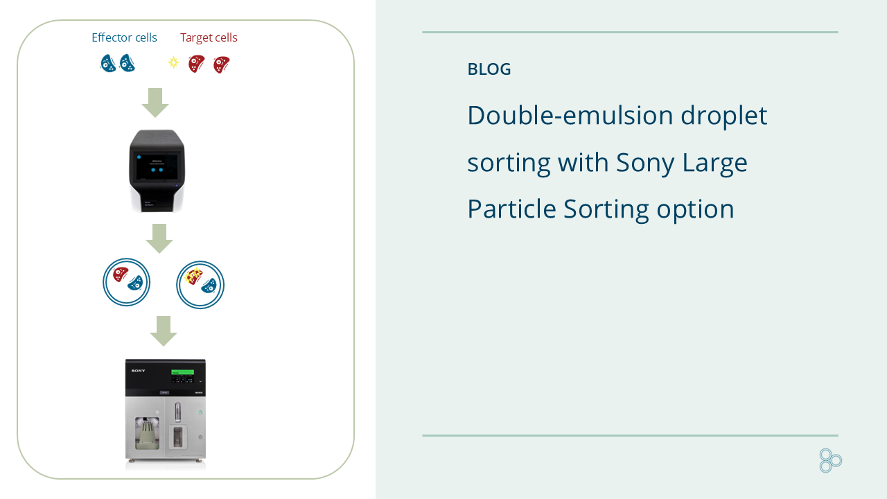 Large Particle Sorting option 